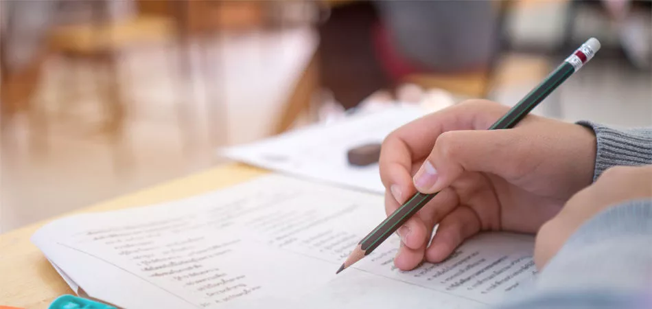 IpIeGeneralHindiQuestionsForRajasthanPatwariExam.webp