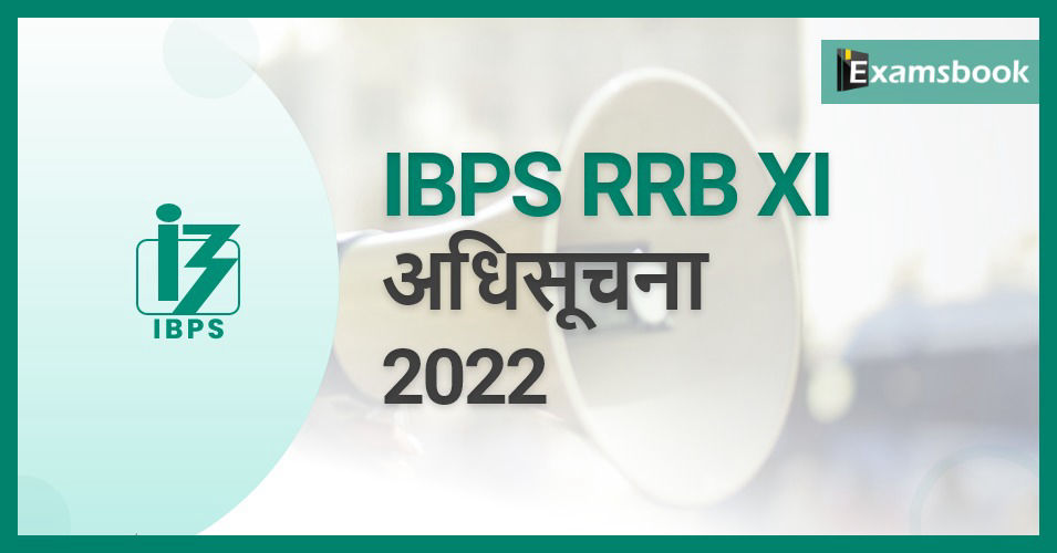 IBPS RRB XI Notification 2022
