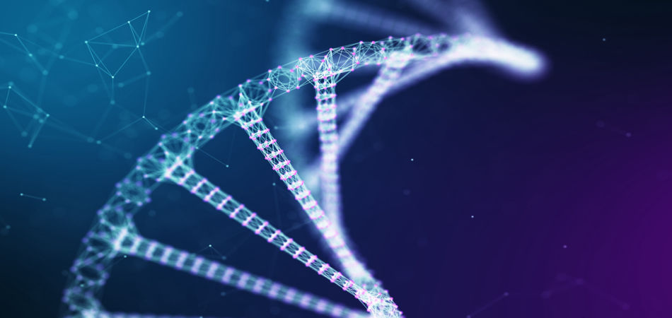 biology gk questions and answers