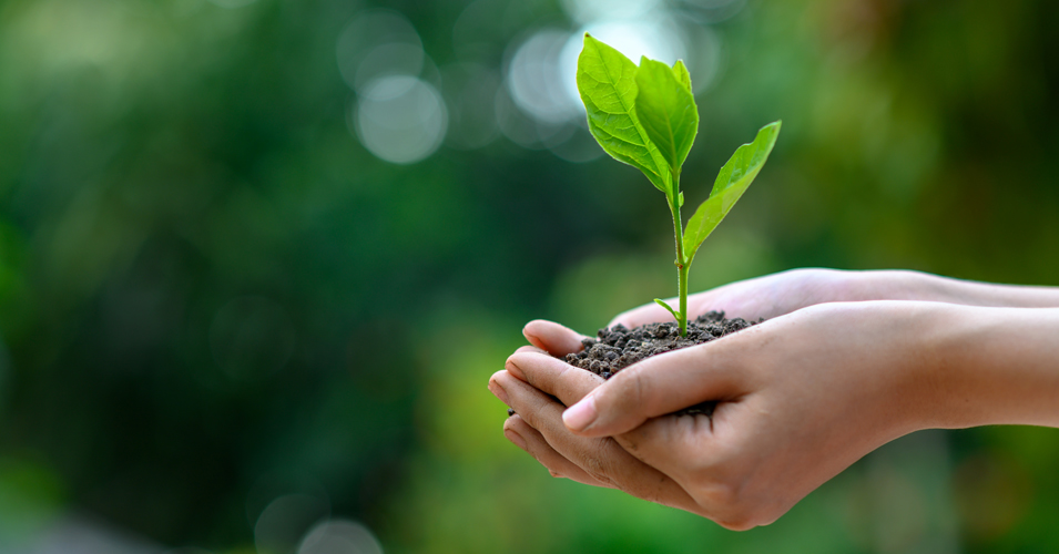 Environment GK Questions and Answers